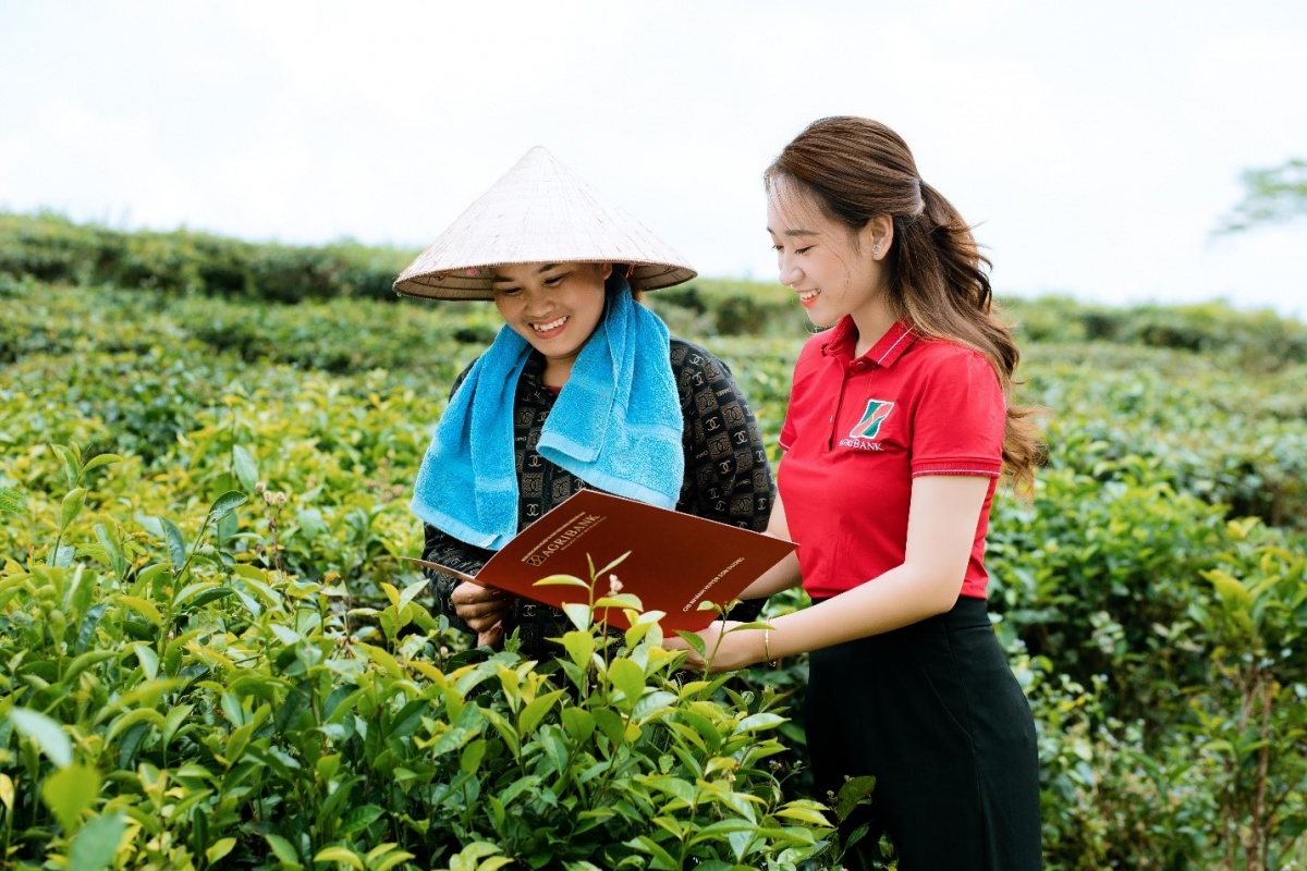 Tiếp tục hoàn thiện cơ chế, chính sách tín dụng đối với lĩnh vực nông nghiệp, nông thôn Tiếp tục hoàn thiện cơ chế, chính sách tín dụng đối với lĩnh vực nông nghiệp, nông thôn