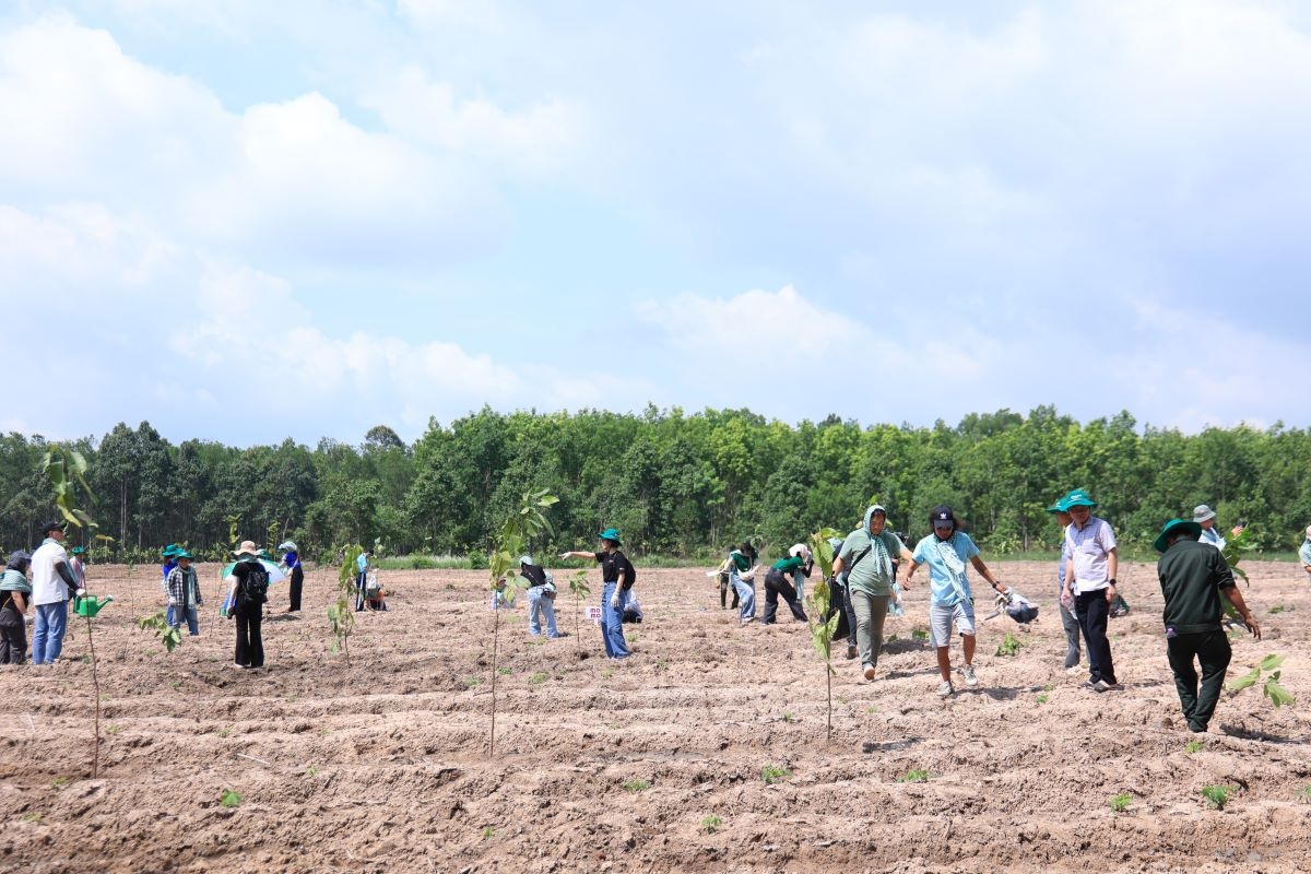 Doanh nghiệp chung tay trồng rừng, bảo vệ an ninh nguồn nước Đông Nam Bộ