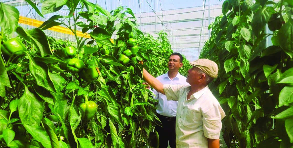Thanh toán số phải trở thành động lực của tài chính số Thanh toán số phải trở thành động lực của tài chính số