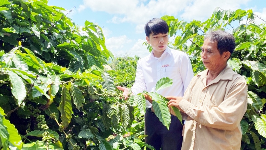 Khi những triền đồi thức giấc - Kỳ 2: Dòng vốn