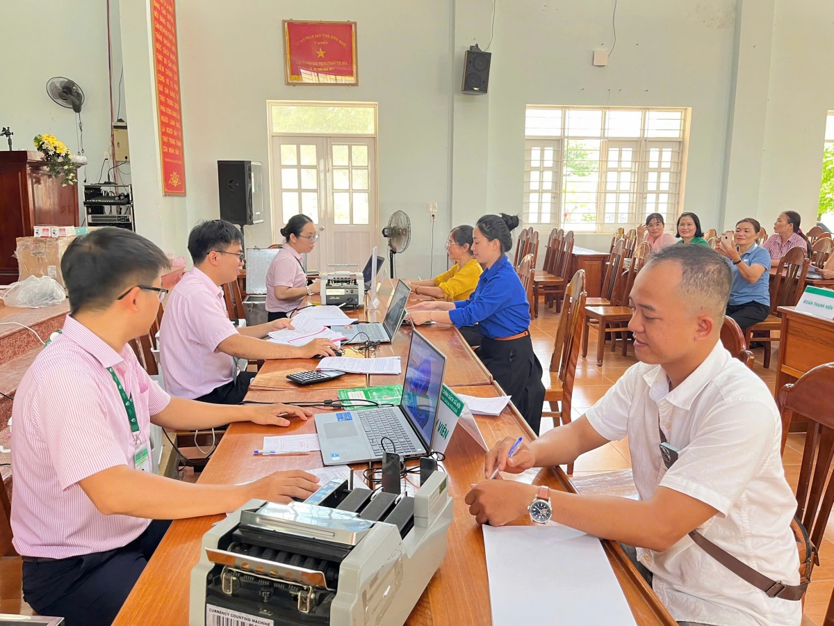 Khi những triền đồi thức giấc - Kỳ 2: Dòng vốn