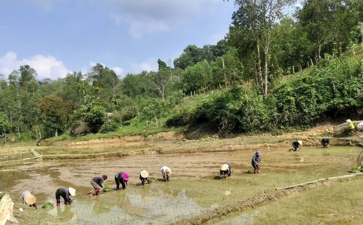 Đồng vốn chính sách đã và đang trở thành “đòn bẩy” phát triển kinh tế hộ ở Quỳ Hợp.