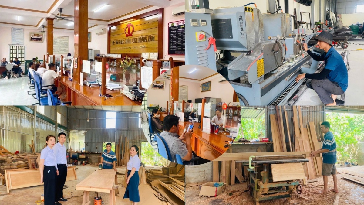 Nguồn vốn tín dụng hợp tác tiếp sức người dân phát triển kinh tế bền vững