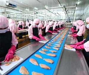 doanh nghiệp nào biết cách biến công nghệ thành năng lực nội tại doanh nghiệp nào biết cách biến công nghệ thành năng lực nội tại