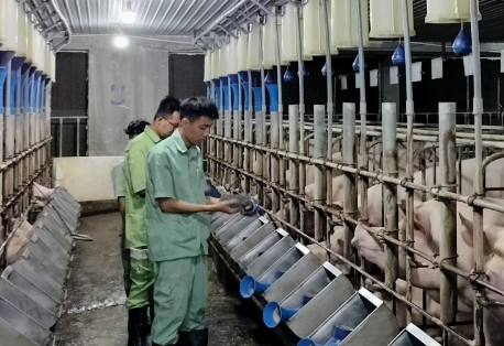 Doanh nghiệp Việt buộc phải bước vào "cuộc chơi" công nghệ khi bước ra toàn cầu