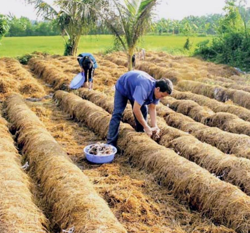 tư duy “nuôi đất” thay vì khai thác đất tư duy “nuôi đất” thay vì khai thác đất