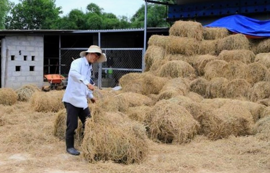 Công nghệ đang thay đổi tư duy của người dân trong việc cải tạo đất Công nghệ đang thay đổi tư duy của người dân trong việc cải tạo đất