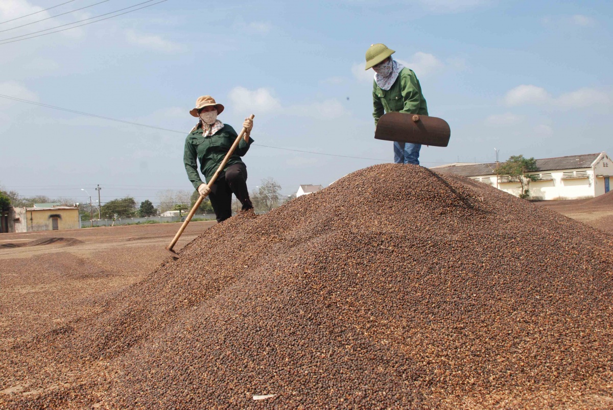 Các sản phẩm cà phê có nhiều cơ hội tạii thị trường thị trường Halal .