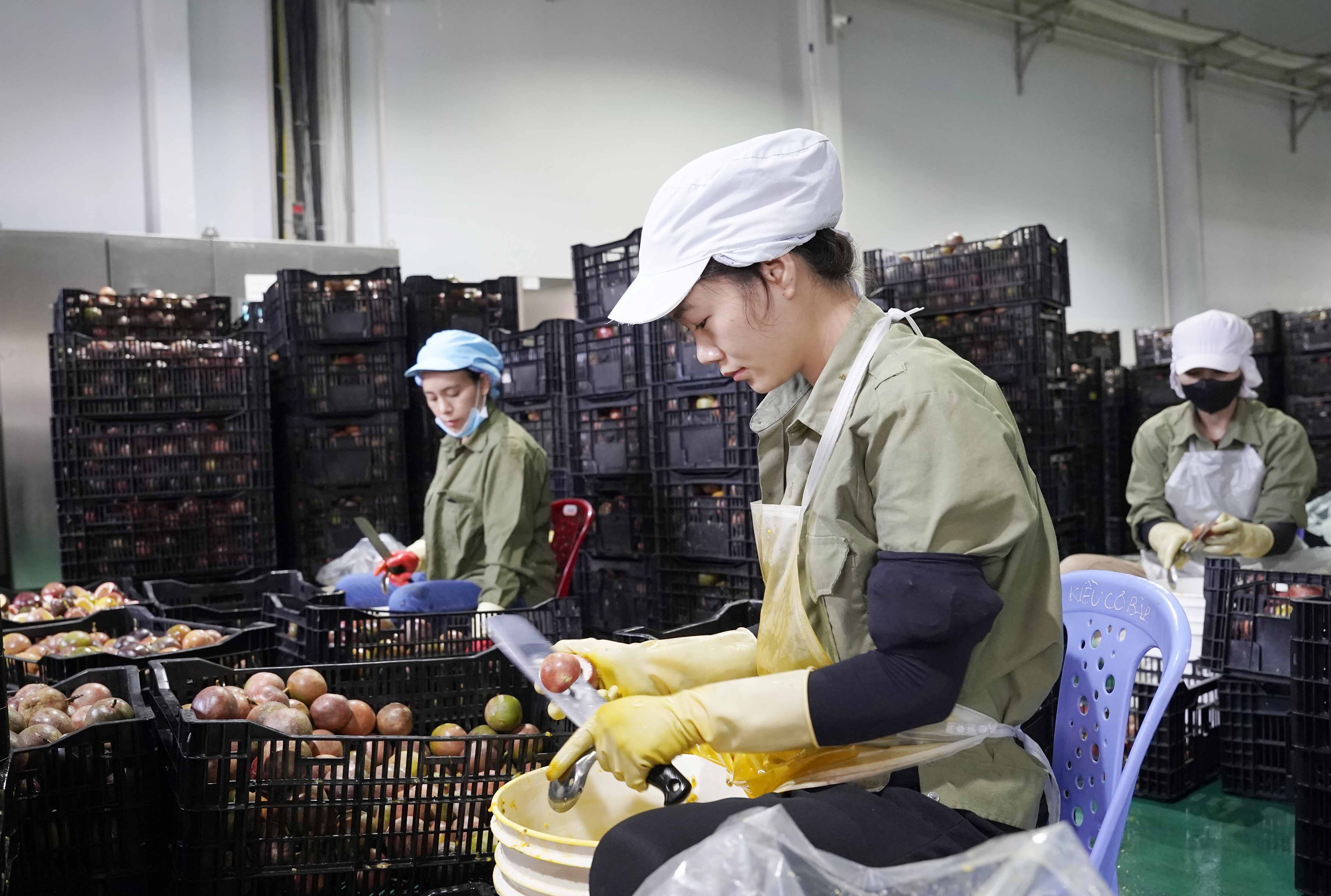 UOB: Doanh nghiệp Việt bước vào chu kỳ tăng trưởng mới