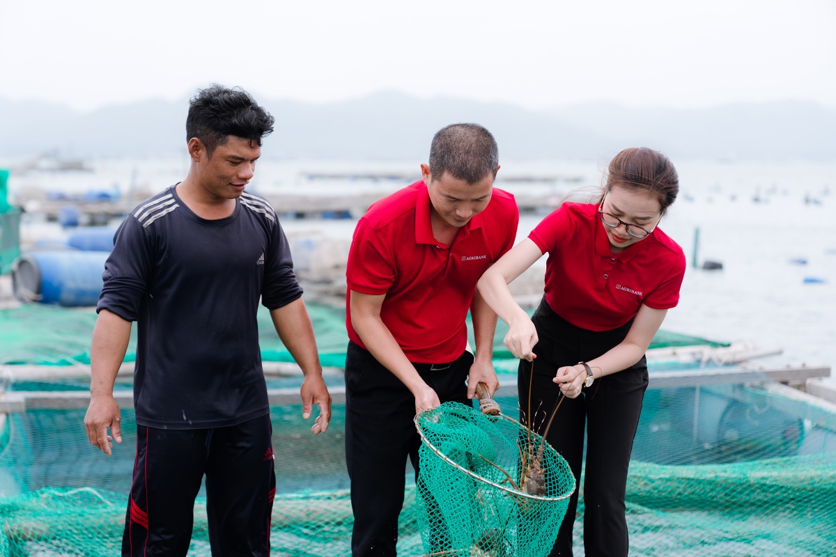 Không chỉ dừng lại ở việc cấp vốn, các cán bộ tín dụng Agribank còn thường xuyên phối hợp cùng Tổ trưởng Tổ vay vốn tích cực tư vấn, định hướng cho bà con áp dụng khoa học kỹ thuật vào sản xuất, phù hợp với xu hướng của thị trường