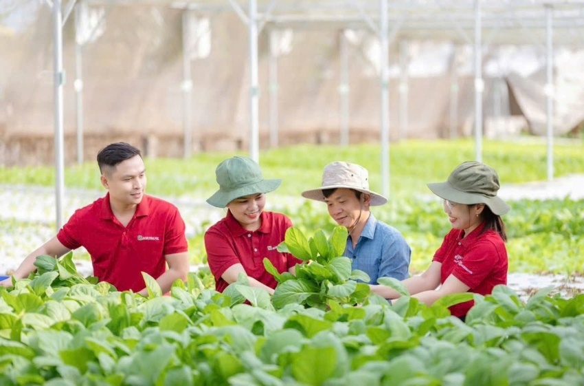 Agribank ưu tiên nguồn vốn phát triển nông nghiệp xanh, đồng thời coi tín dụng xanh là động lực quan trọng thúc đẩy chuyển đổi mô hình tăng trưởng trong nông nghiệp