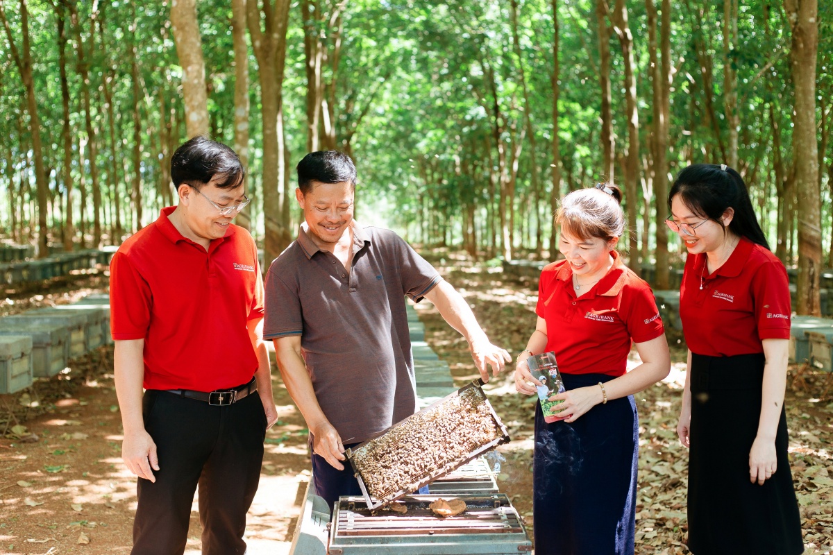 Mô hình cho vay qua Tổ đang được triển khai tại 105 Chi nhánh Agribank tại 34 tỉnh, thành phố với gần 1 triệu thành viên tham gia, dẫn vốn trực tiếp đến từng hộ gia đình, giúp nhiều người dân khu vực nông thôn phát triển kinh tế, thay đổi cuộc sống, phát huy hiệu quả kép trong dòng chảy kinh tế nông thôn