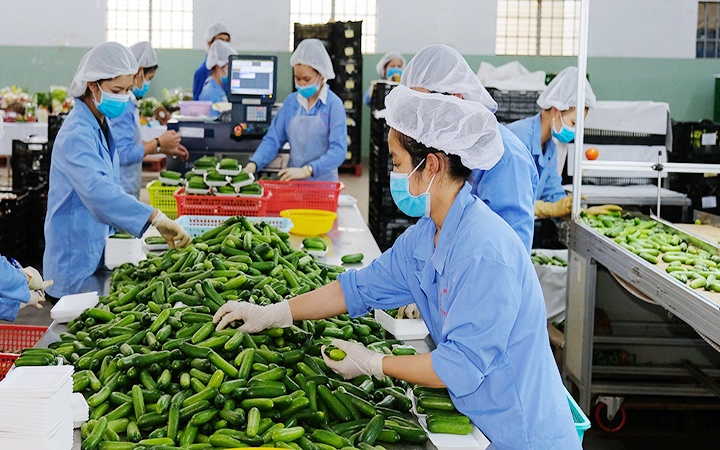 Cuộc đua công nghệ phía sau đơn hàng xuất khẩu Cuộc đua công nghệ phía sau đơn hàng xuất khẩu