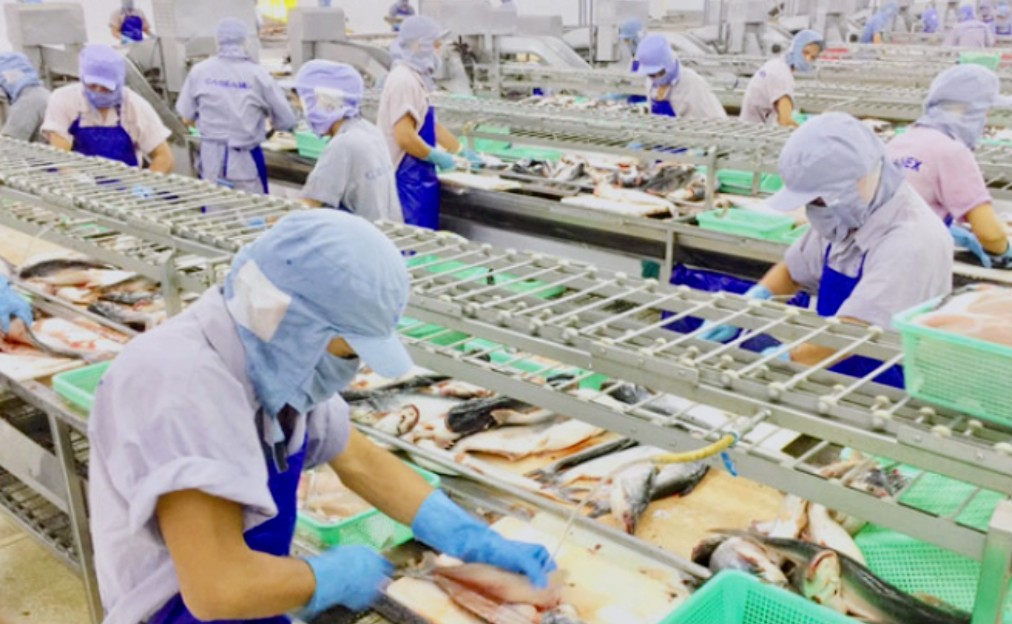 về dài hạn, bài toán cốt lõi vẫn nằm ở nội lực. về dài hạn, bài toán cốt lõi vẫn nằm ở nội lực.