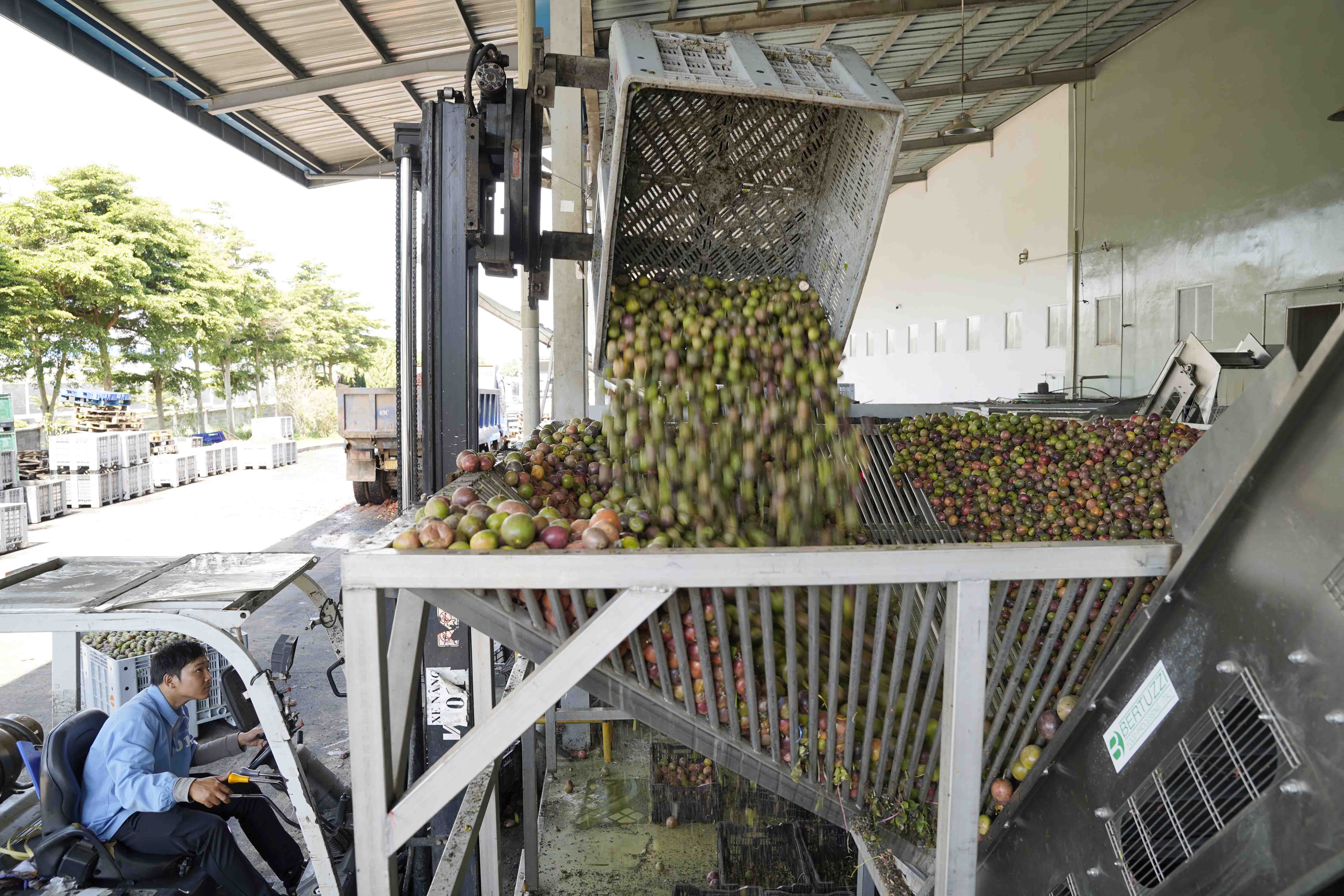 Doanh nghiệp nhỏ trước áp lực thích ứng chuyển đổi