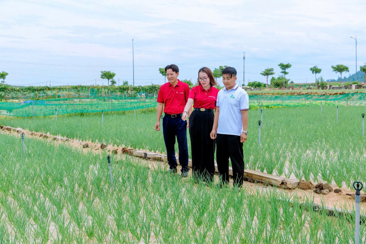 Mở rộng tín dụng xanh đáp ứng yêu cầu phát triển kinh tế xanh Mở rộng tín dụng xanh đáp ứng yêu cầu phát triển kinh tế xanh