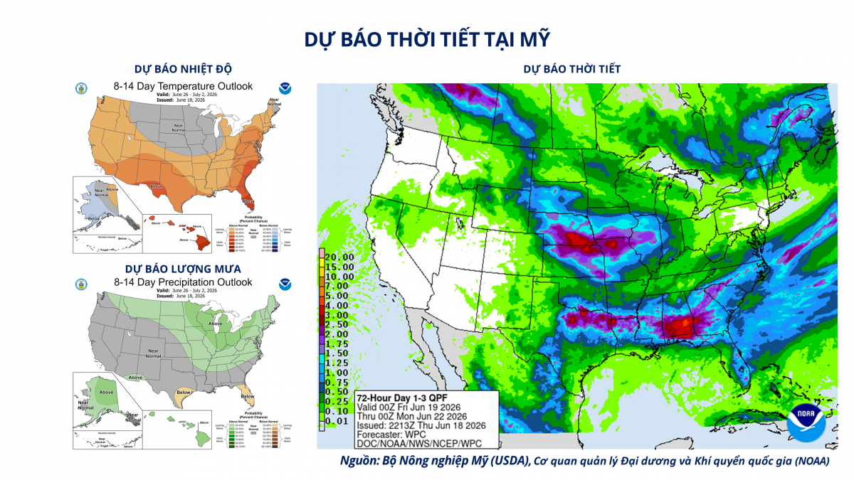 Thị trường hàng hóa: Giá dầu và ngô đồng loạt phục hồi, MXV-Index tăng hơn 1,6% Thị trường hàng hóa: Giá dầu và ngô đồng loạt phục hồi, MXV-Index tăng hơn 1,6%