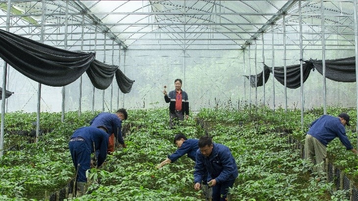 Doanh nghiệp chờ “cởi trói” để thúc đẩy sản xuất