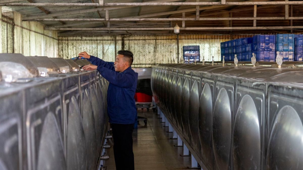Doanh nghiệp Việt: Có lợi thế nhưng vẫn chật vật ngay trên sân nhà
