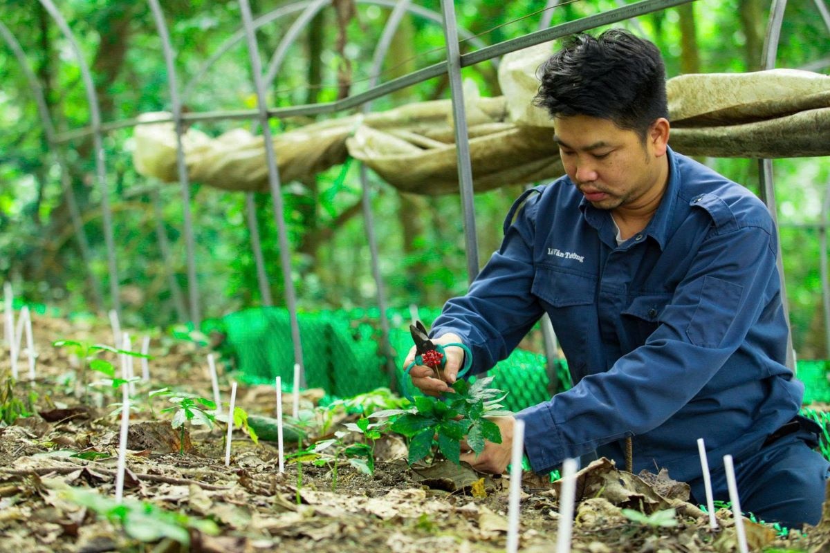 Xuất khẩu nông sản Việt Nam duy trì đà tăng trưởng tích cực trong nửa đầu năm 2026 Xuất khẩu nông sản Việt Nam duy trì đà tăng trưởng tích cực trong nửa đầu năm 2026