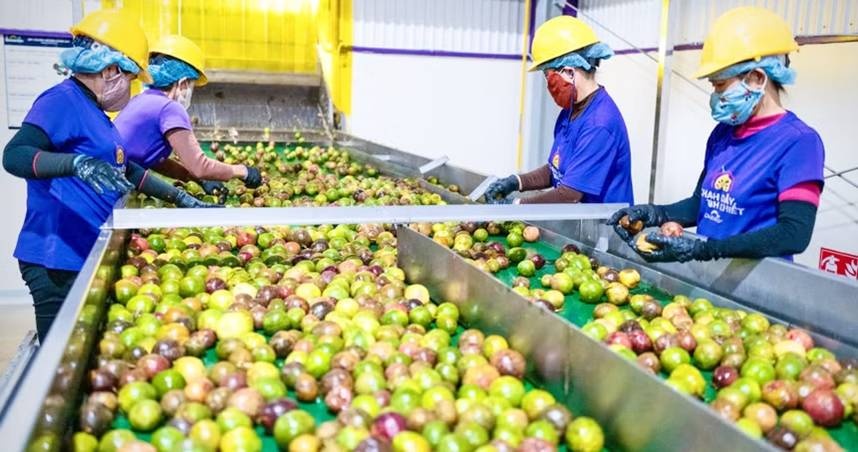 Khoa học công nghệ tạo đòn bẩy nâng tầm nông nghiệp
