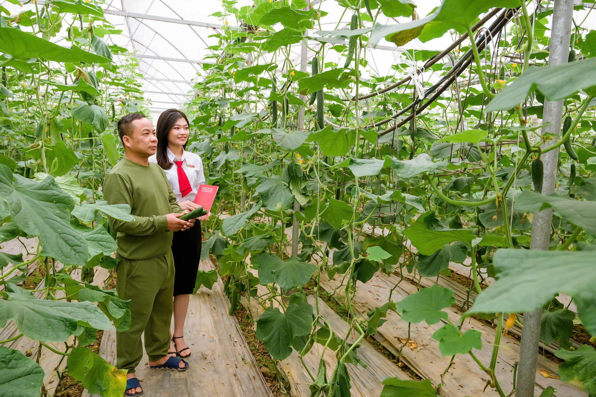 Agribank - Vững bước trên hành trình phát triển cùng đất nước