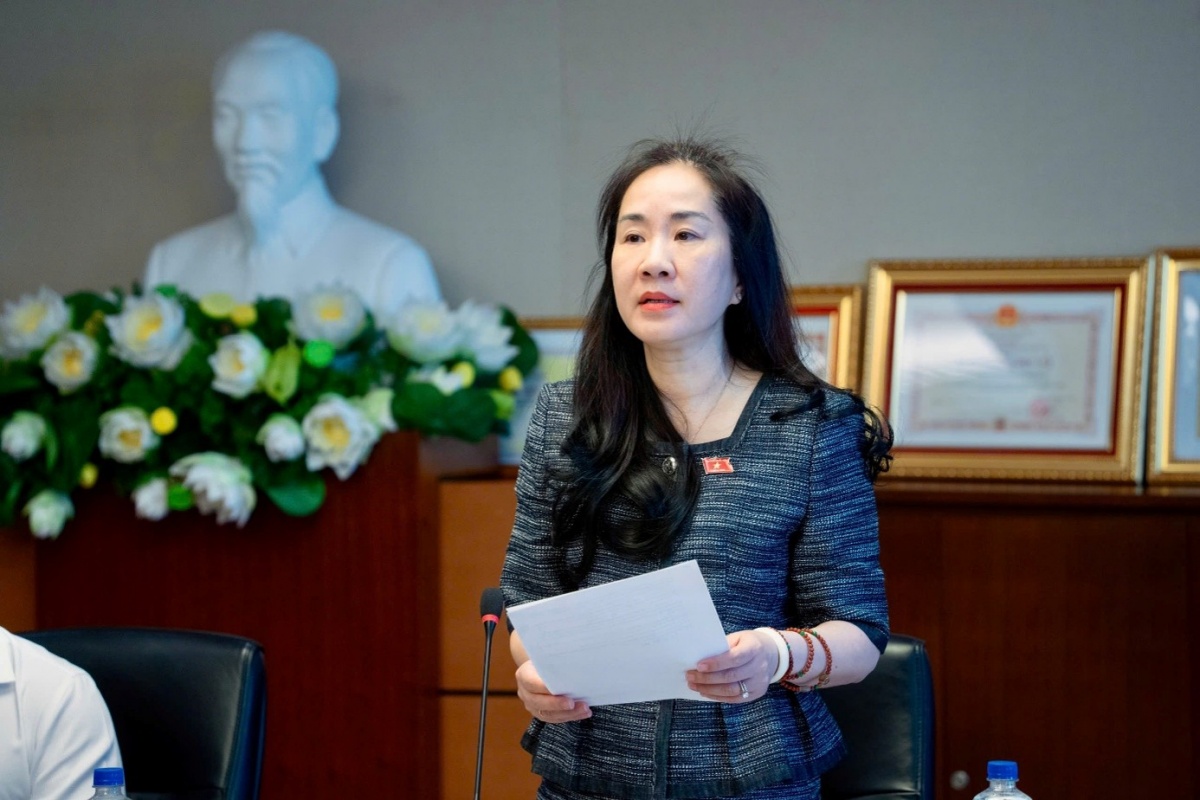 Phó Chủ nhiệm Uỷ ban Kinh tế và Tài chính Đoàn Thị Thanh Mai phát biểu