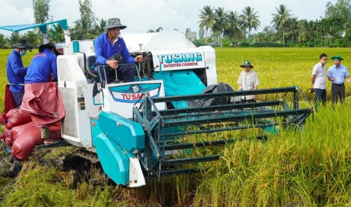 Mở rộng tín dụng cho đồng lúa chất lượng cao