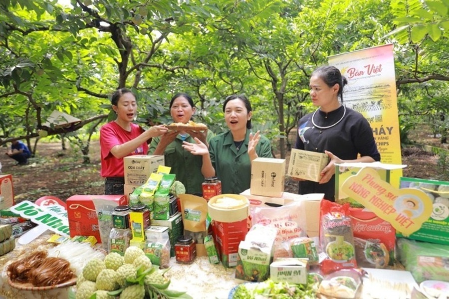 Giải pháp chuyên sâu để thương mại điện tử xuyên biên giới 