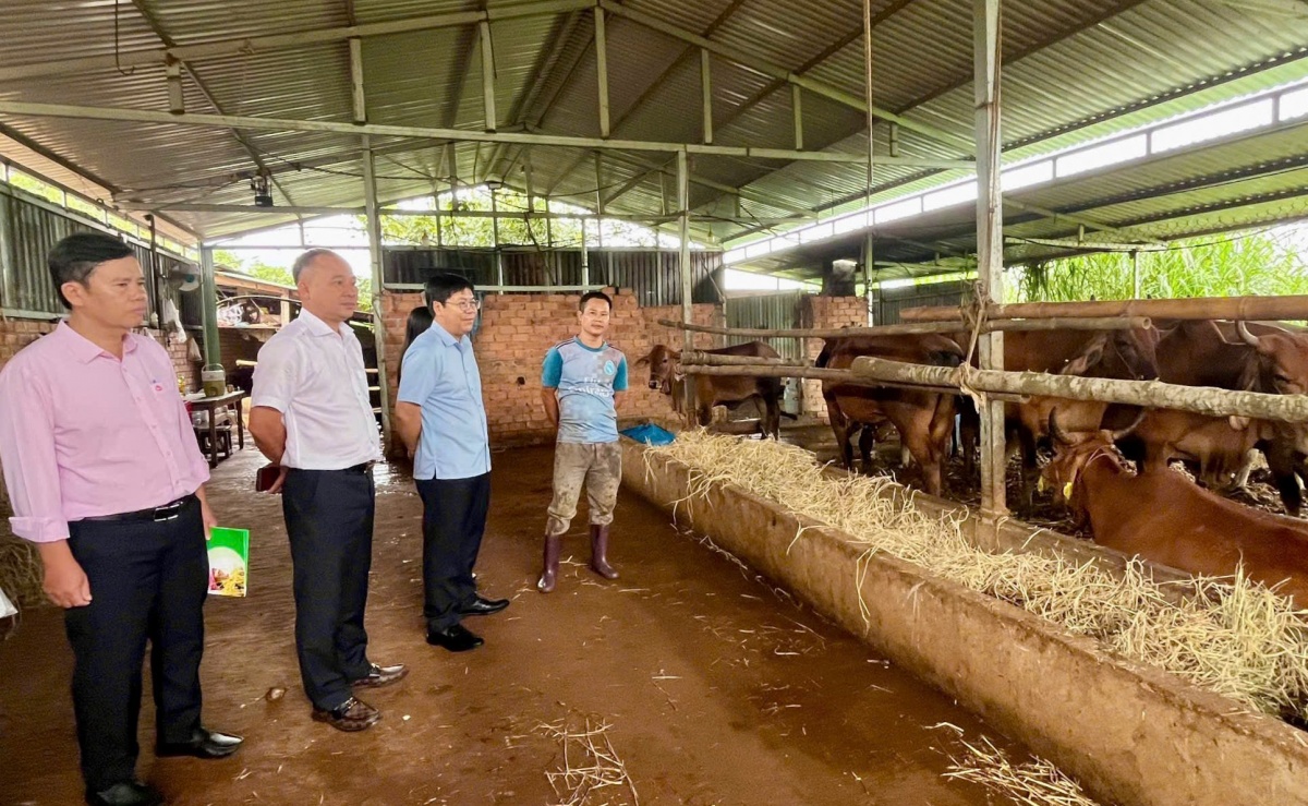 Tăng trưởng tín dụng gắn với kiểm soát chất lượng góp phần đưa vốn ưu đãi đến đúng đối tượng, bảo đảm an sinh xã hội.. Tăng trưởng tín dụng gắn với kiểm soát chất lượng góp phần đưa vốn ưu đãi đến đúng đối tượng, bảo đảm an sinh xã hội..