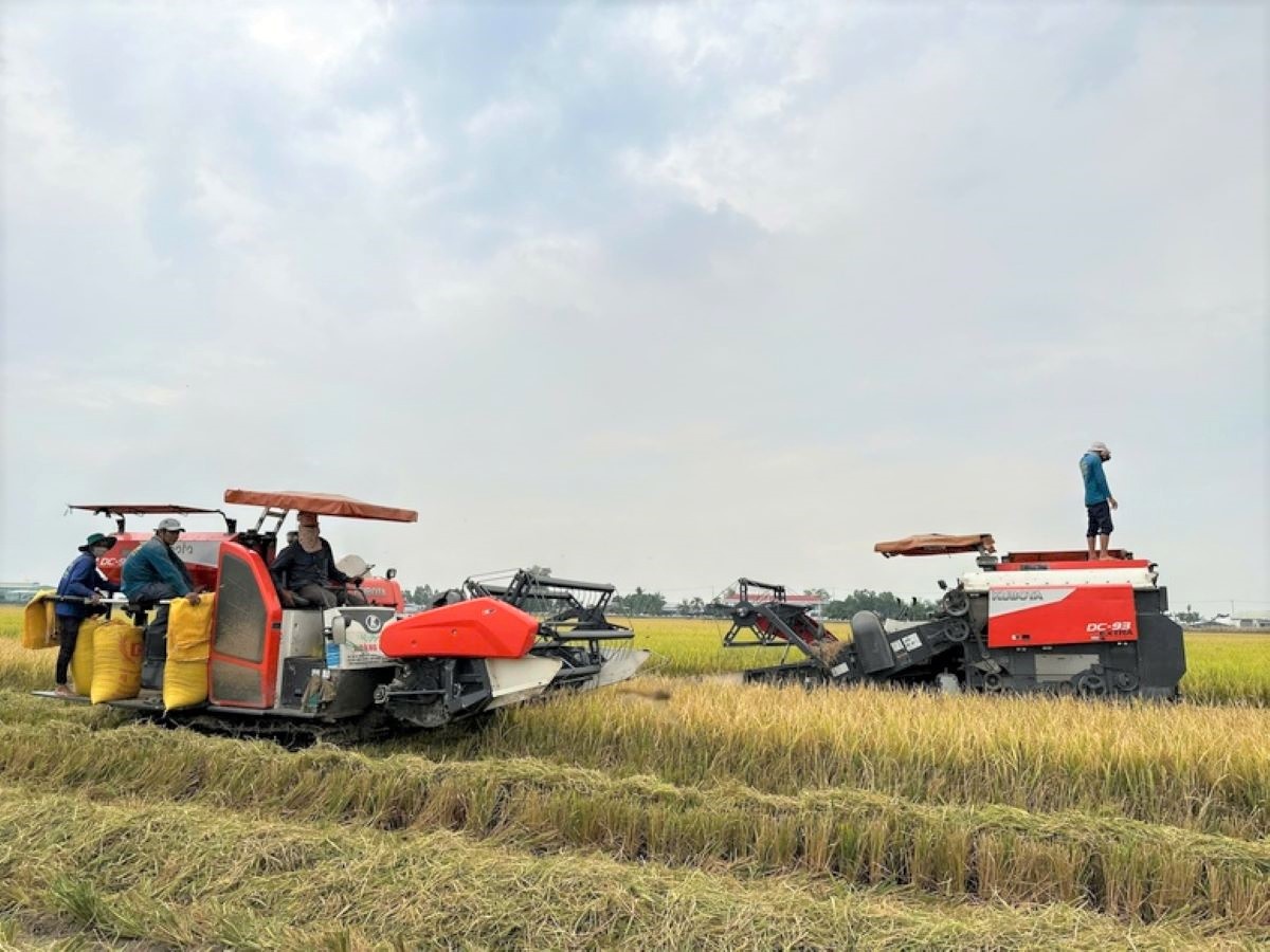 Chính sách tín dụng linh hoạt mở đường cho doanh nghiệp bứt phá tăng trưởng