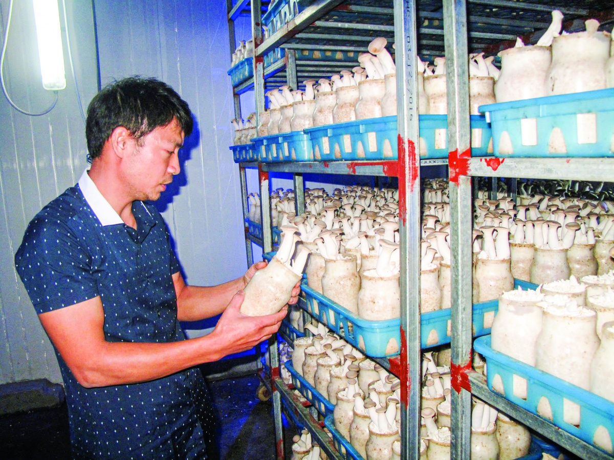 Điều doanh nghiệp đang cần nhất hiện nay là các chính sách hỗ trợ cụ thể về chuyển đổi số, đào tạo nguồn nhân lực và kết nối cung - cầu lao động