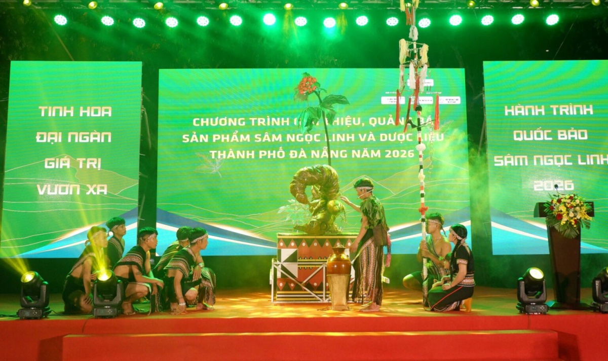 Sắp diễn ra Lễ hội Sâm Ngọc Linh và Dược liệu quốc tế Đà Nẵng 2026 Sắp diễn ra Lễ hội Sâm Ngọc Linh và Dược liệu quốc tế Đà Nẵng 2026