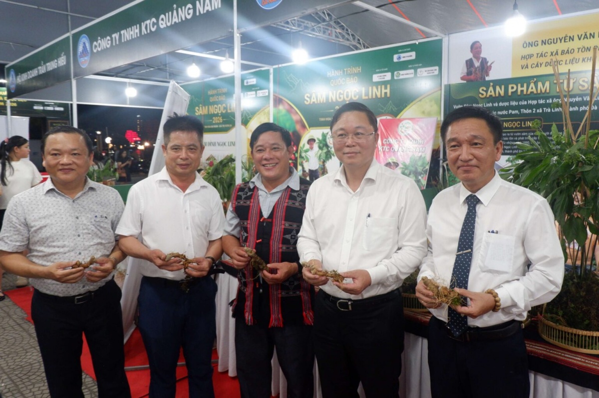 Sắp diễn ra Lễ hội Sâm Ngọc Linh và Dược liệu quốc tế Đà Nẵng 2026 Sắp diễn ra Lễ hội Sâm Ngọc Linh và Dược liệu quốc tế Đà Nẵng 2026