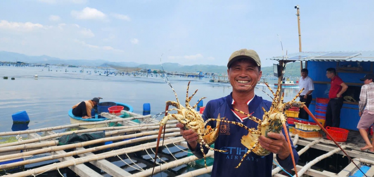 Agribank Chi nhánh Phú Yên đã thực hiện giảm lãi suất cho 8.646 khách hàng, với tổng dư nợ được hỗ trợ hơn 3.254 tỷ đồng; số tiền lãi hỗ trợ đạt hơn 8,1 tỷ đồng. Đồng thời, chi nhánh đã giải ngân gần 813 tỷ đồng cho 372 khách hàng vay mới để phục hồi sản xuất, kinh doanh… Agribank Chi nhánh Phú Yên đã thực hiện giảm lãi suất cho 8.646 khách hàng, với tổng dư nợ được hỗ trợ hơn 3.254 tỷ đồng; số tiền lãi hỗ trợ đạt hơn 8,1 tỷ đồng. Đồng thời, chi nhánh đã giải ngân gần 813 tỷ đồng cho 372 khách hàng vay mới để phục hồi sản xuất, kinh doanh…