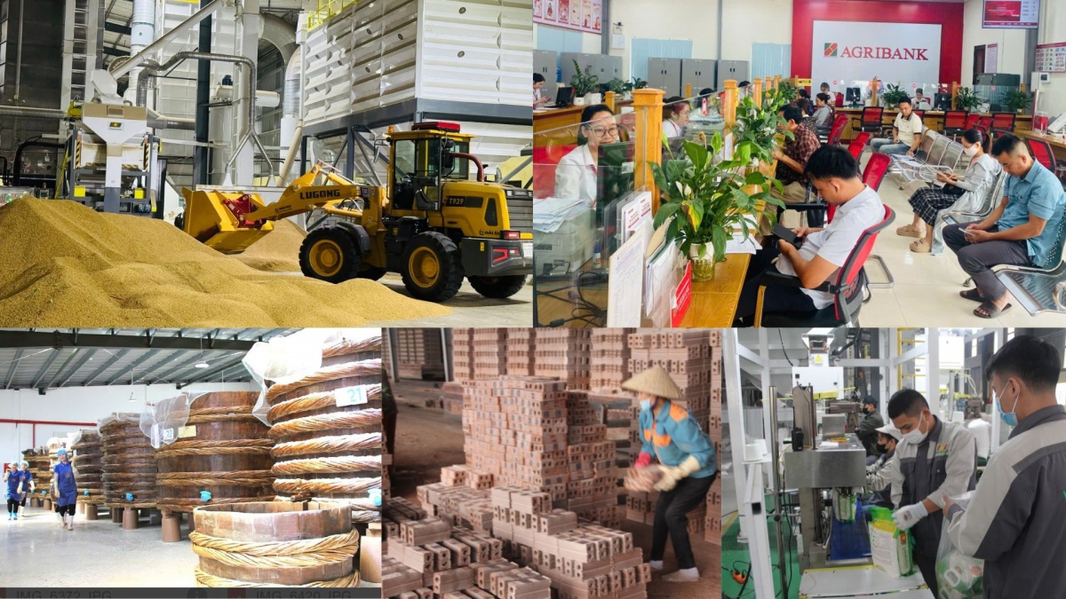 Dòng vốn tín dụng kịp thời và mặt bằng lãi suất giảm đã trở thành bệ phóng quan trọng giúp các doanh nghiệp tại Thanh Hóa duy trì sản xuất, mở rộng quy mô và nâng cao năng lực cạnh tranh