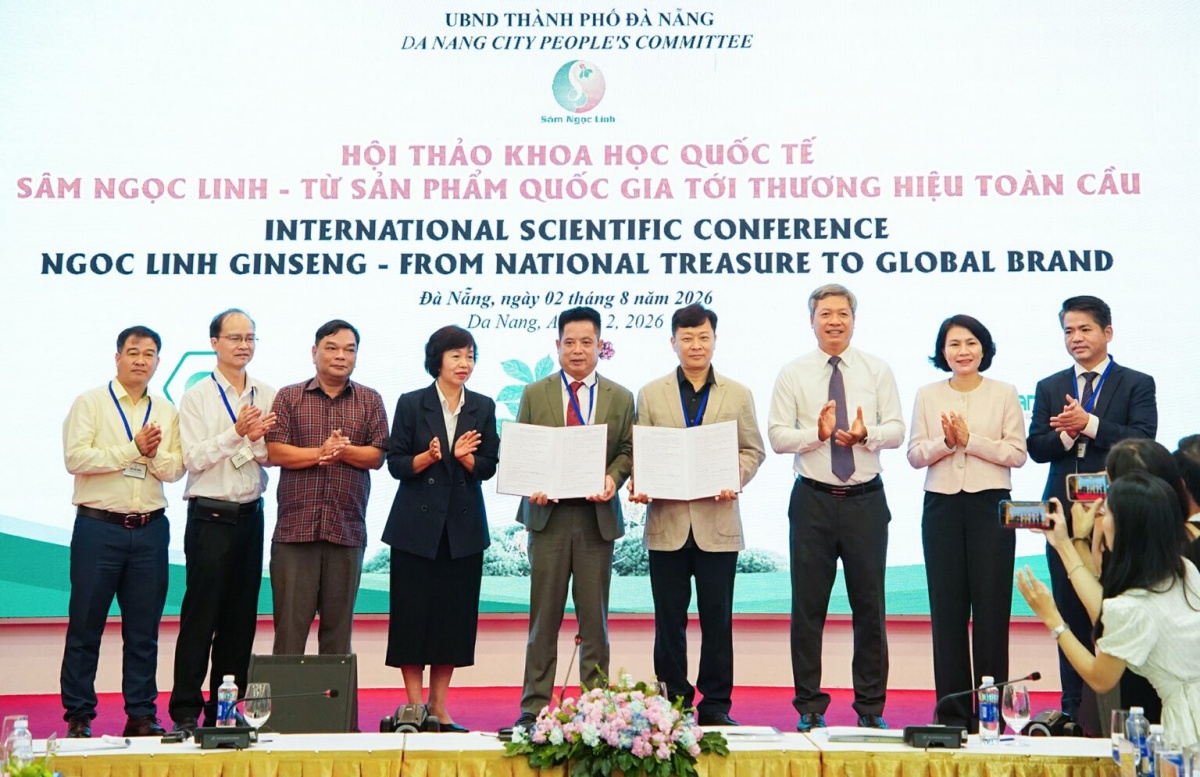 Đưa thương hiệu Sâm Ngọc Linh vươn ra thị trường thế giới. Đưa thương hiệu Sâm Ngọc Linh vươn ra thị trường thế giới.