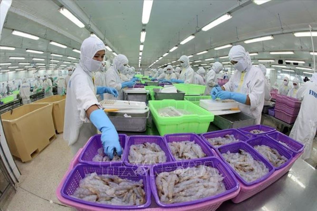 Ngành thủy sản cần một chiến lược logistics chủ động, có khả năng thích ứng cao ảnh: minh họa Ngành thủy sản cần một chiến lược logistics chủ động, có khả năng thích ứng cao ảnh: minh họa