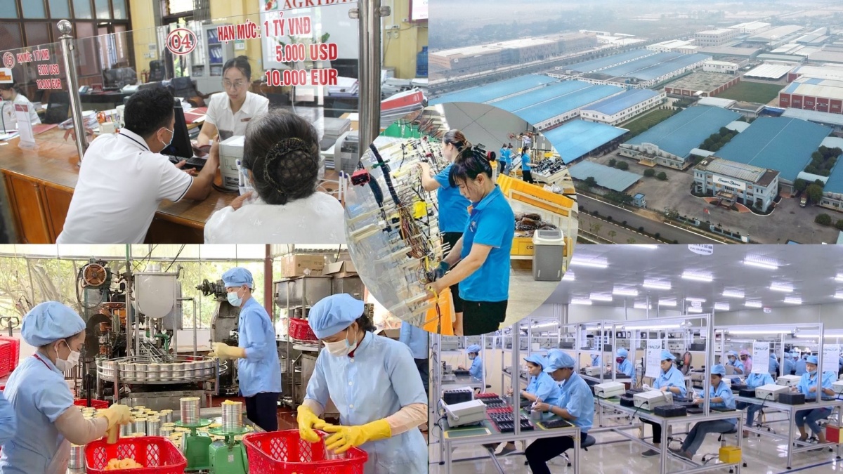 Dòng vốn ngân hàng tiếp sức doanh nghiệp trong các khu công nghiệp tại Ninh Bình phát triển sản xuất Dòng vốn ngân hàng tiếp sức doanh nghiệp trong các khu công nghiệp tại Ninh Bình phát triển sản xuất