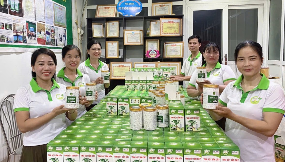 Hợp tác xã dịch vụ nông nghiệp tổng hợp Bình An đang từng bước khẳng định thương hiệu nhờ sự đồng hành của nguồn vốn tín dụng chính sách. Hợp tác xã dịch vụ nông nghiệp tổng hợp Bình An đang từng bước khẳng định thương hiệu nhờ sự đồng hành của nguồn vốn tín dụng chính sách.