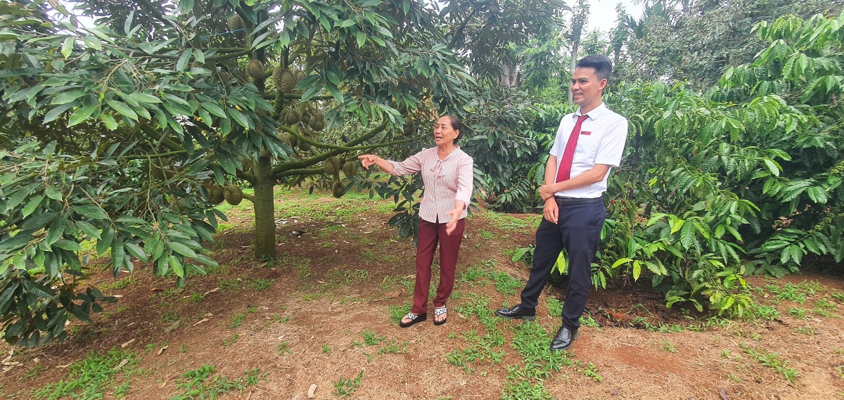 Agribank Đắk Lắk tập trung đầu tư tín dụng 