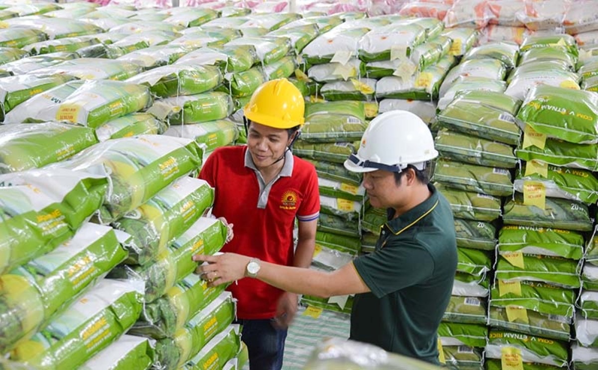 TP. Hồ Chí Minh: Không để doanh nghiệp gặp khó khi cấp giấy chứng nhận gạo thơm xuất khẩu TP. Hồ Chí Minh: Không để doanh nghiệp gặp khó khi cấp giấy chứng nhận gạo thơm xuất khẩu