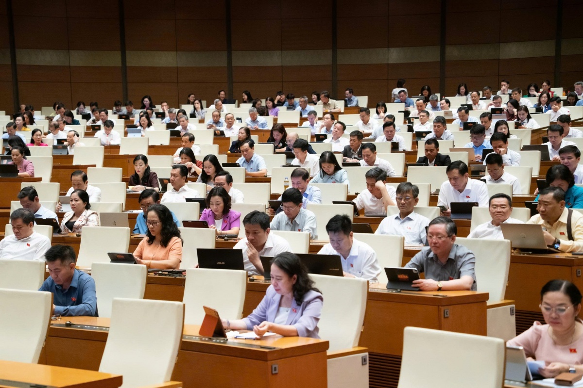 Các đại biểu tham dự phiên họp Các đại biểu tham dự phiên họp