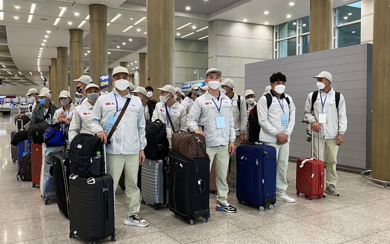 Tăng cường hậu kiểm và khai thác dữ liệu để bảo vệ quyền, lợi ích người lao động Tăng cường hậu kiểm và khai thác dữ liệu để bảo vệ quyền, lợi ích người lao động