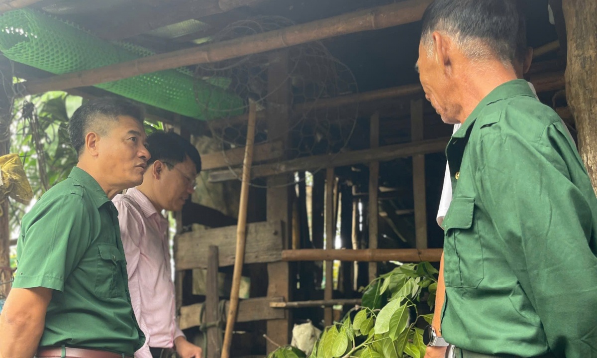 Gia đình CCB Vũ Hoàng Ba ở xã Krông Nô, vay vốn thuộc chương trình cho vay hộ gia đình sản xuất, kinh doanh tại vùng khó khăn đầu tư vào chăn nuôi dê. Gia đình CCB Vũ Hoàng Ba ở xã Krông Nô, vay vốn thuộc chương trình cho vay hộ gia đình sản xuất, kinh doanh tại vùng khó khăn đầu tư vào chăn nuôi dê.