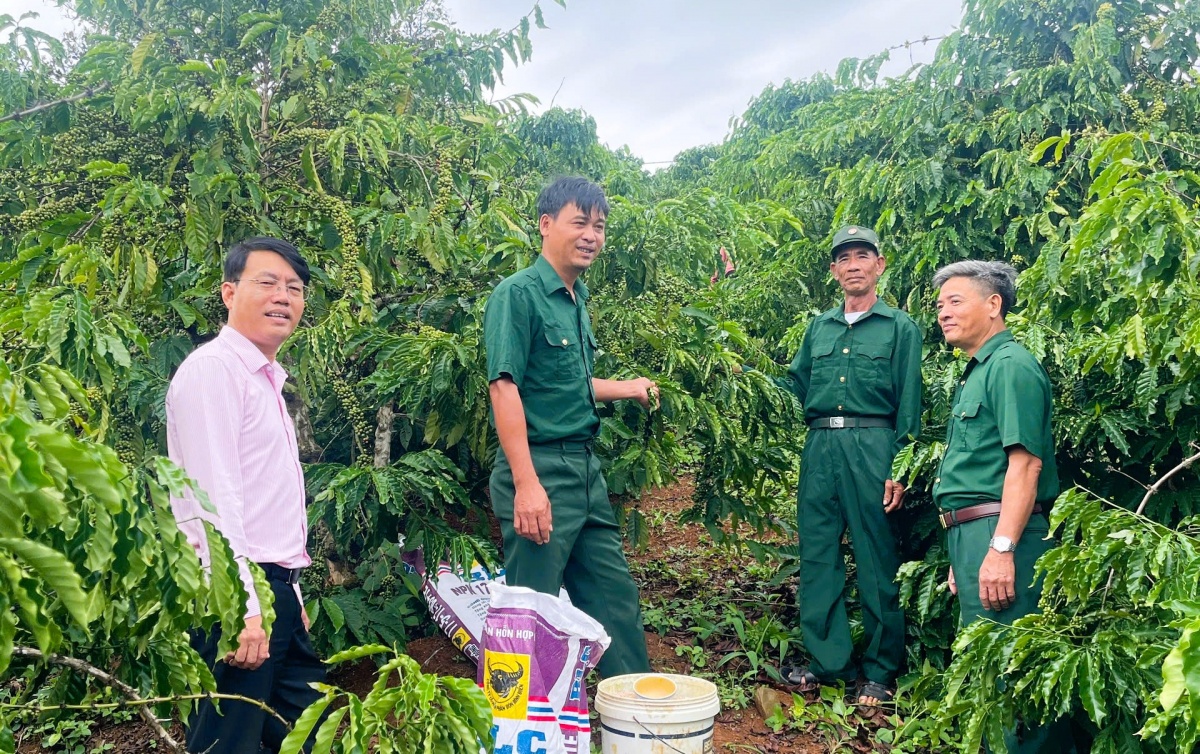 Tín dụng chính sách tiếp sức cựu chiến binh ở Lâm Đồng trên “mặt trận” kinh tế. Tín dụng chính sách tiếp sức cựu chiến binh ở Lâm Đồng trên “mặt trận” kinh tế.