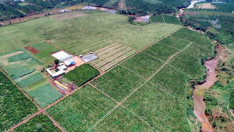 Ngành Ngân hàng Gia Lai nỗ lực tăng trưởng tín dụng, tiếp sức cho sản xuất kinh doanh