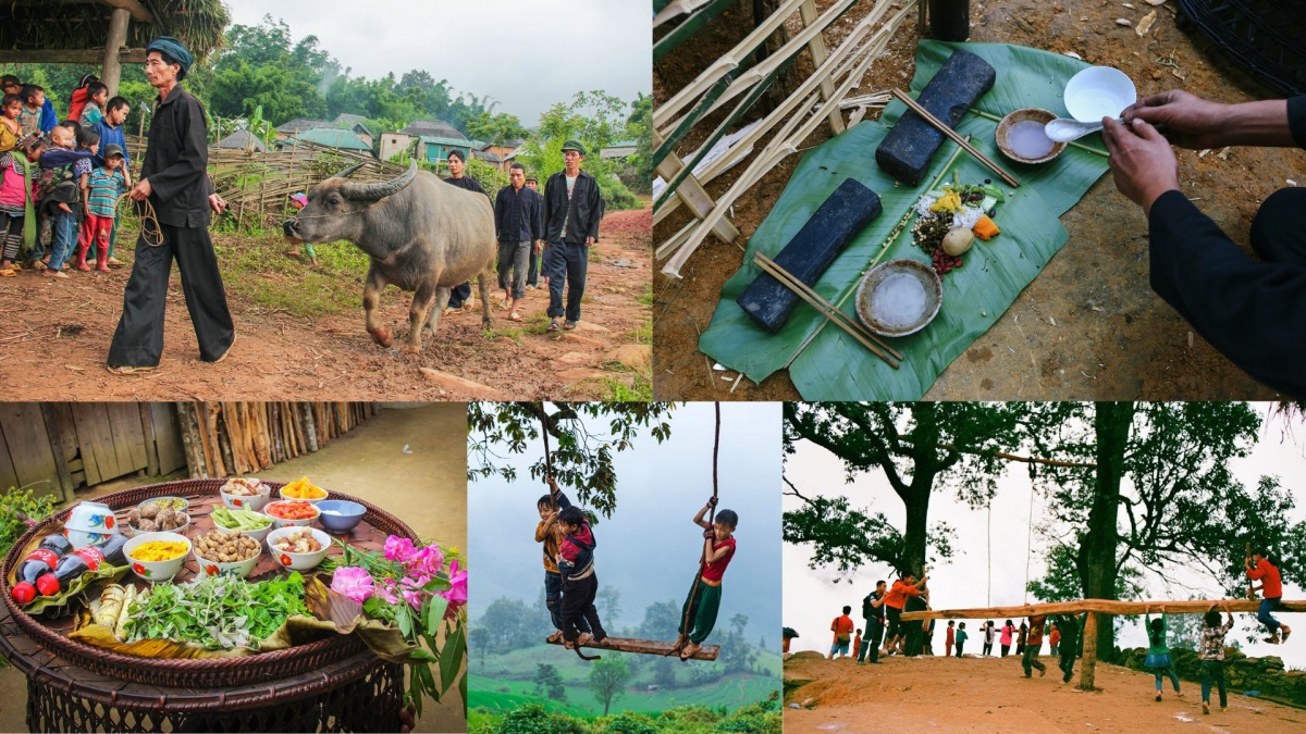 Con trâu hiến tế trong lễ hội Khô Già Con trâu hiến tế trong lễ hội Khô Già GiàGià