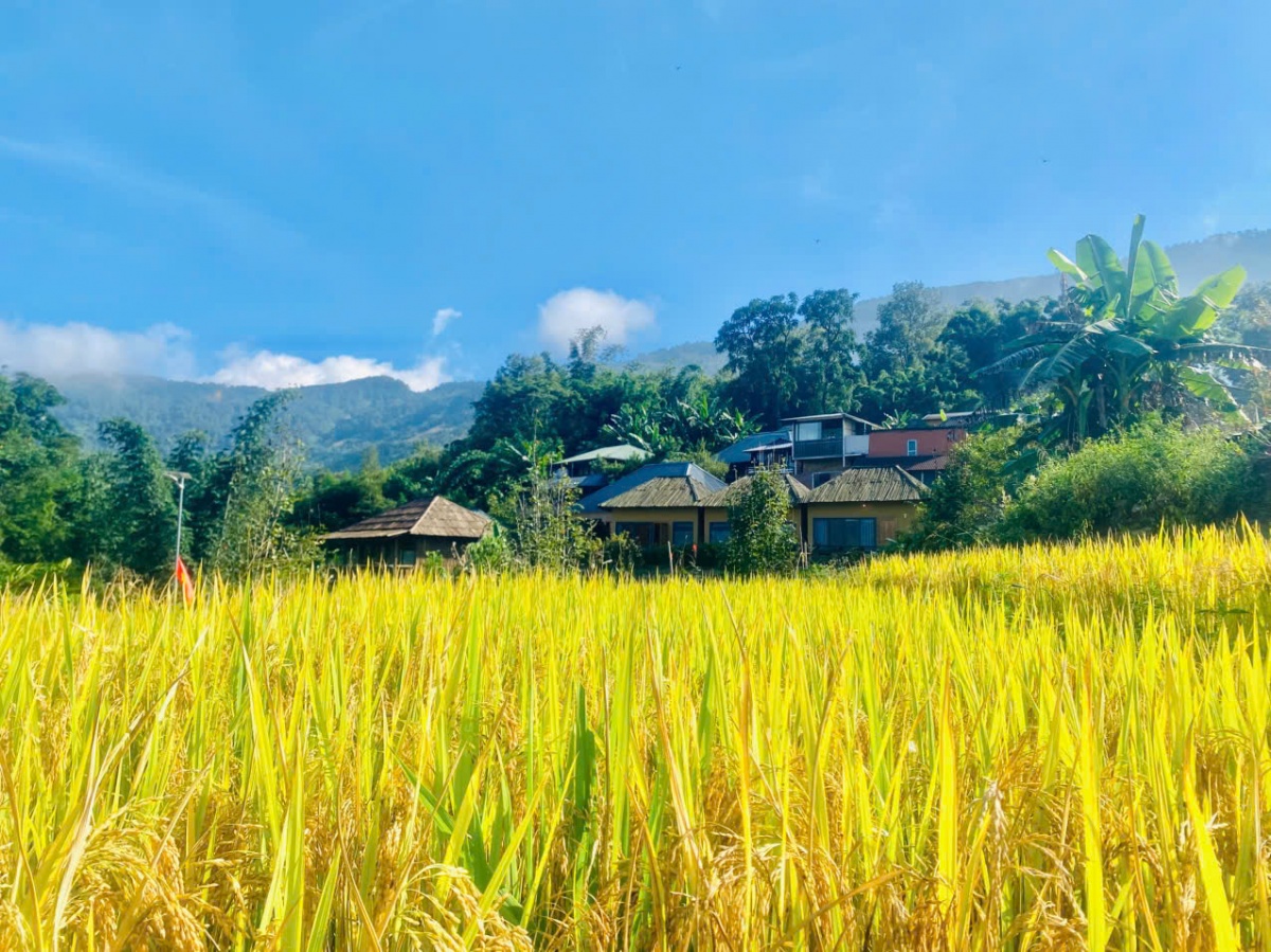 Đánh thức tiềm năng du lịch từ ngôi làng trên mây Choản Thèn