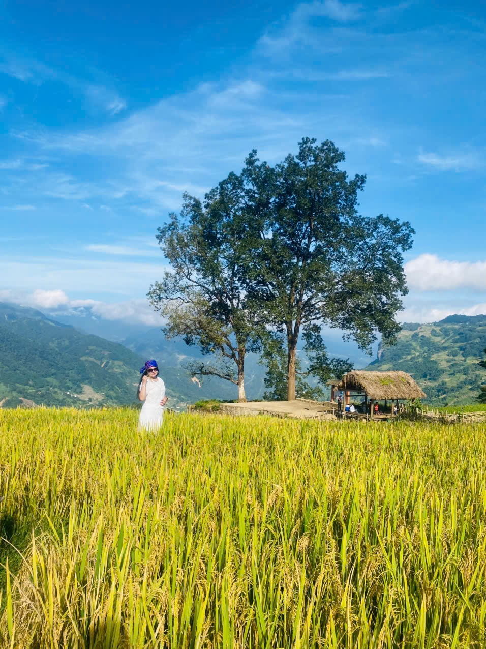 Đánh thức tiềm năng du lịch từ ngôi làng trên mây Choản Thèn